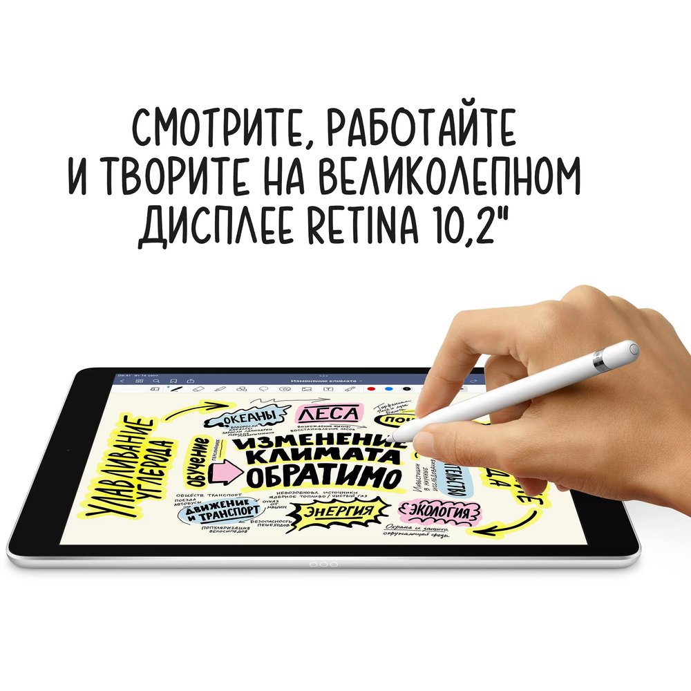 Купить Apple iPad 2021 A13 Bionic/256Gb 10.2